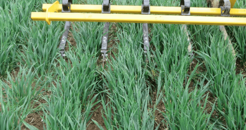 mechanical weeding equipment