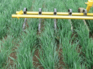 mechanical weeding equipment 