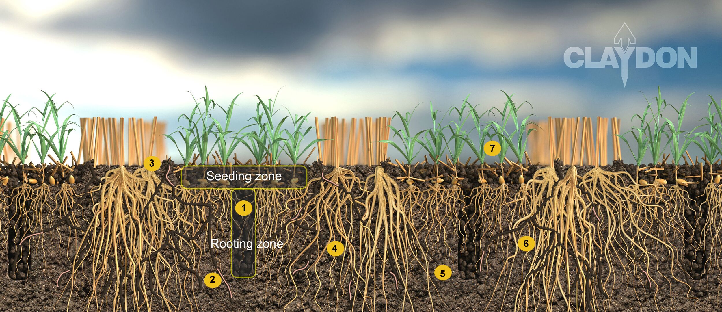 Claydon soil structure