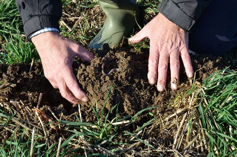 Soil structure soil-health-uk
