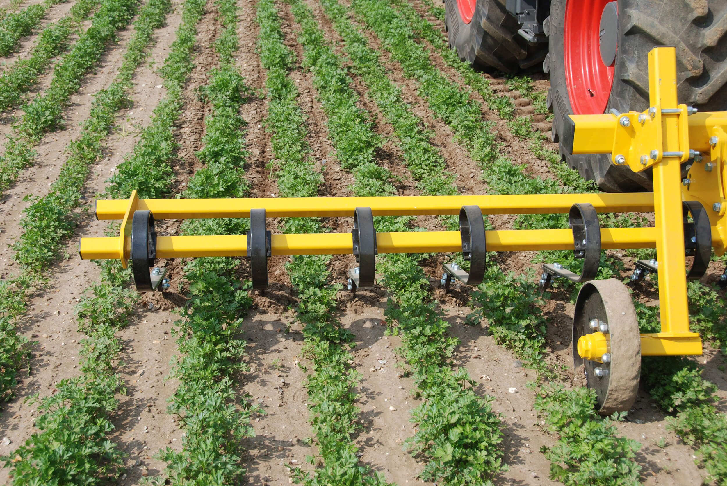 inter-row hoe