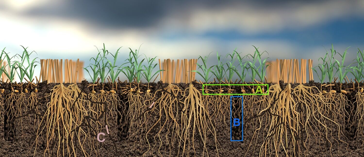 Soil Cross-section overall 3 (2)