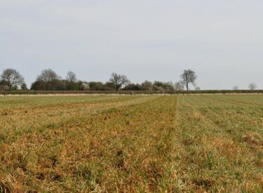 low disturbance into high residue